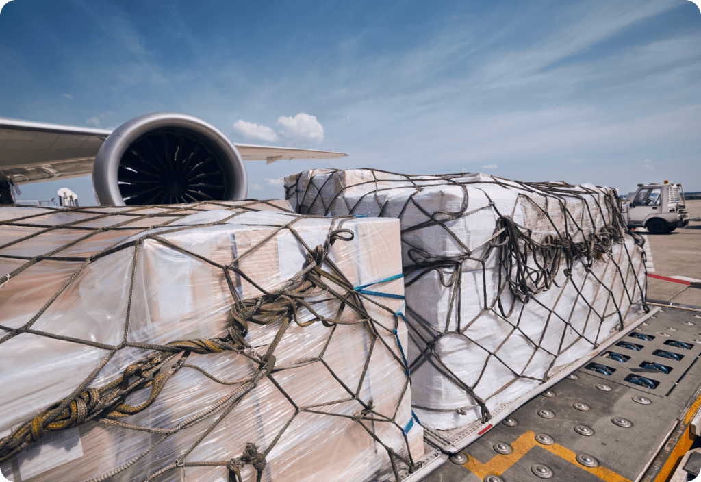 Air cargo loading for pharmaceutical cold chain transportation.